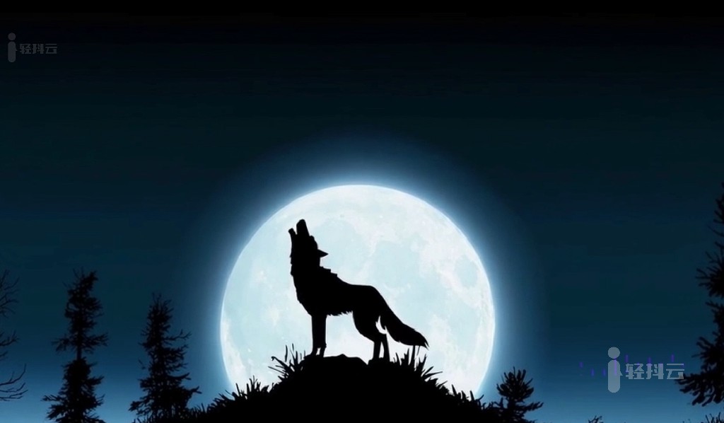 OpenAI文生短视频模型Sora生成的视频31-wolves狼